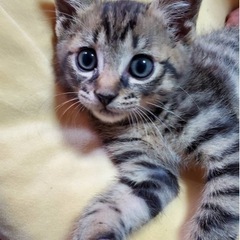 元気いっぱい٩(๑❛ᴗ❛๑)۶
