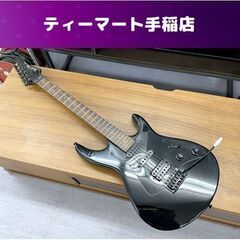 AriaproⅡBlack Dog エレキギター アリアプロ ブ...