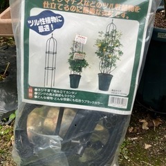 オベリスク 新品未開封