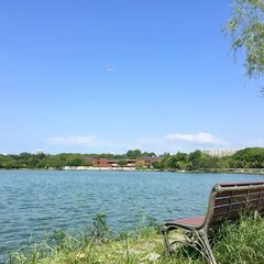 大濠公園のお散歩