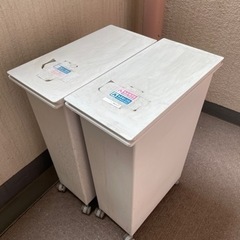 ゴミ箱2つ