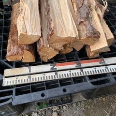 赤松　針葉樹　薪