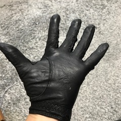 NIKE ゴルフグローブの画像