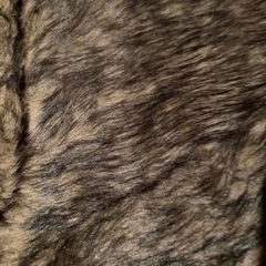 ファー　お値下げします！の画像