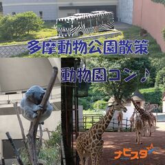 17:00～ 40～55歳　夜の多摩動物公園散策