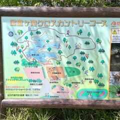 お散歩コースの情報交換しましょう！