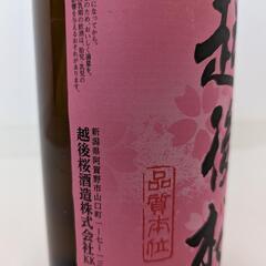 越後桜の画像