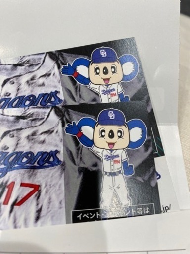 6/25 (日)　中日vsヤクルト　ペアチケット