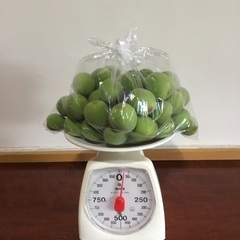 無農薬❣️青梅❗️1kg300円　南高梅です‼️