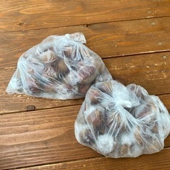 冷凍栗