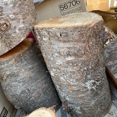 薪　桜の木　　約７キロ　大人気‼︎ 
④  オススメ！の画像