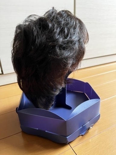 決まりました！お早目に！美品フォンテーヌ　ウィッグ