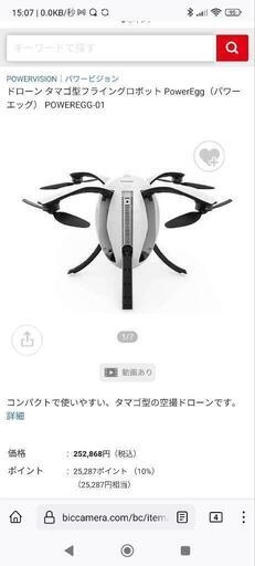【中古品】他にはない形の卵形ドローンPOWER VISION POWER EGG