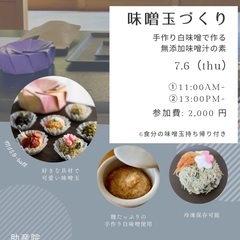 カラフル可愛い味噌玉作りの画像