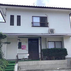 カラフル可愛い味噌玉作りの画像