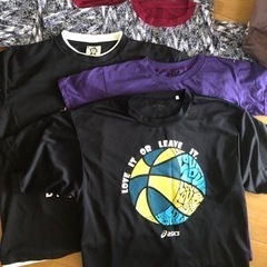 6枚tーシャツ
