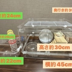 セットでお得！色々揃ってる！！⭐️元値の半額以下です！値下げしました！🐹あとはハムスターと、床材買うだけ！ハムスター飼育スターターセットの画像