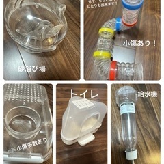 セットでお得！色々揃ってる！！⭐️元値の半額以下です！値下げしました！🐹あとはハムスターと、床材買うだけ！ハムスター飼育スターターセットの画像