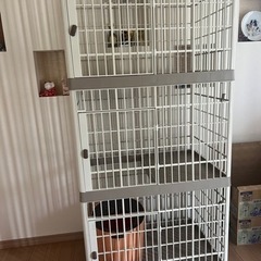 キャット用三段ゲージ