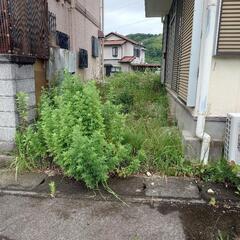 お相手が決まりました
