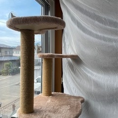 猫用窓枠座り台の画像