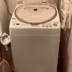 洗濯機【プラズマクラスター】の画像