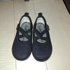 15センチ