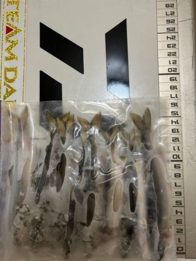 冷凍久慈川天然鮎