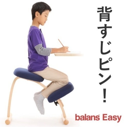 ラクに姿勢がよくなる椅子｜バランス イージー　バランスラボ　カバー付き