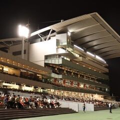 🚨⭐️急募！⭐️🚨6/28（水）馬好き集まれ！大井競馬場集合！「競馬好き交流会」競馬好きで色々話そう♪♪初参加、初心者も歓迎♪♪♪😄  - 友達
