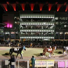 🚨⭐️急募！⭐️🚨6/28（水）馬好き集まれ！大井競馬場集合！「競馬好き交流会」競馬好きで色々話そう♪♪初参加、初心者も歓迎♪♪♪😄  − 東京都
