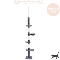 キャットタワーの画像
