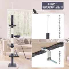 キャットタワーの画像