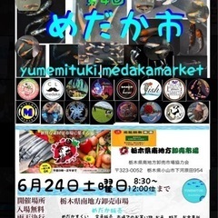 めだか市