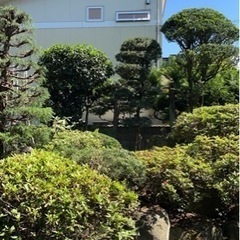 庭木剪定、草刈、伐採やります！ - 弘前市