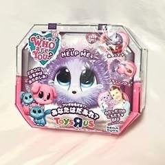 セガトイズ  WHO are YOU？ フーアーユー ぬいぐるみ　トイザらス限定の画像