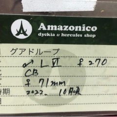 ヘラクレスオオカブト　幼虫　Amazonico ②の画像
