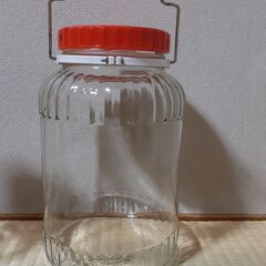 梅酒瓶、果実酒瓶２～４リットルの画像