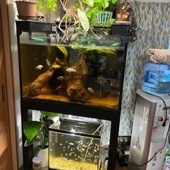 水槽