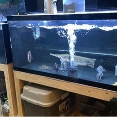 120センチ水槽　セット