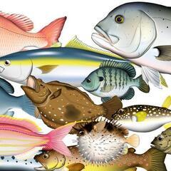魚の骨（未利用魚、廃棄するアラ含）を提供して下さる方募集中！の画像