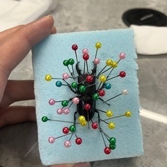 クワガタ･カブトムシ！標本作ります！！ - 手伝いたい/助けたい