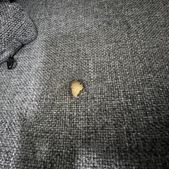 ソファの画像