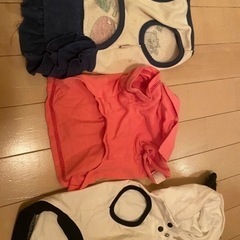 BEACHE HOLICなど✨小型犬✨犬服3着セット✨の画像