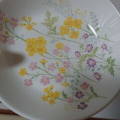 和食器さしあげます それぞれ2枚