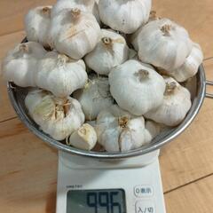 和歌山　貴志川産　ニンニク1kg 無農薬有機栽培
