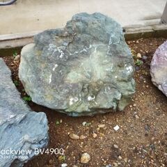 庭石の画像
