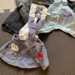 わんちゃん服オーバーオールの画像