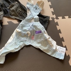 わんちゃん服オーバーオールの画像