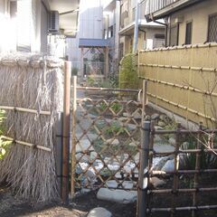猫のいる稽古場風景😽茶道・表千家の画像